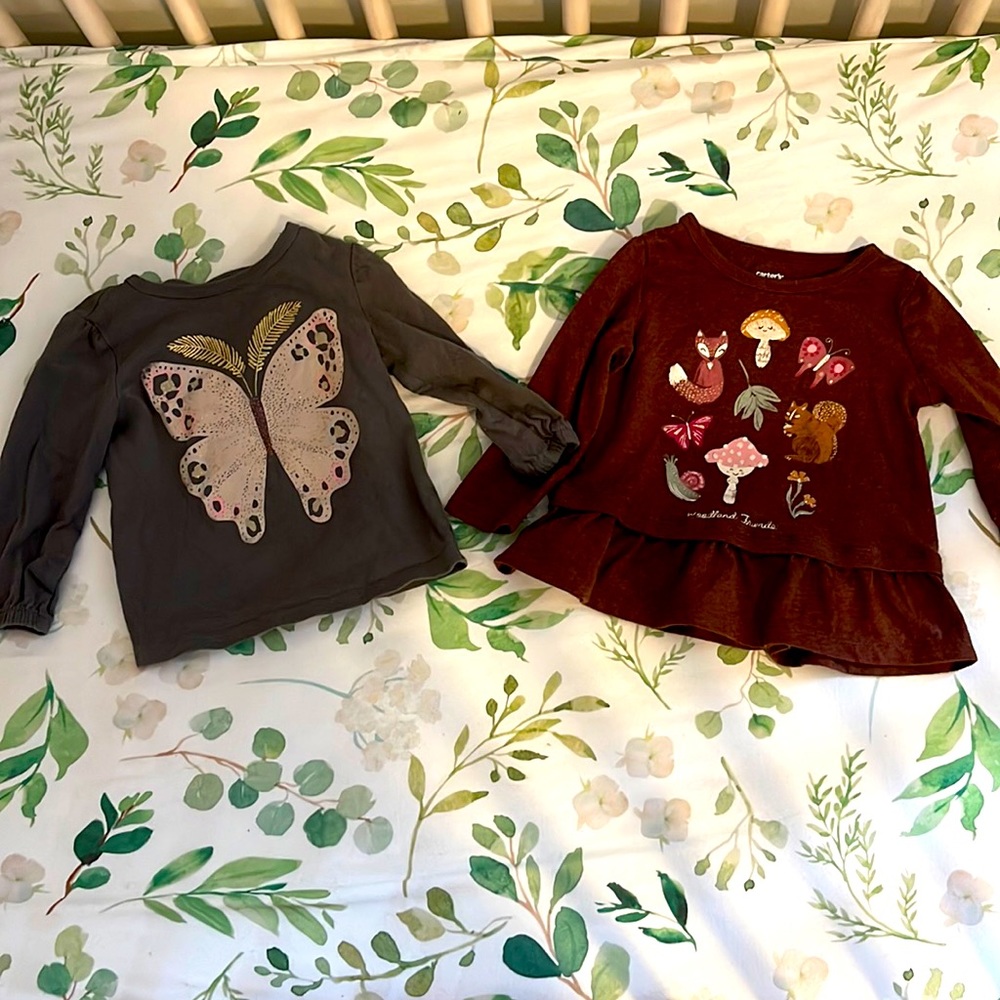Lot of Carters 12M shirts